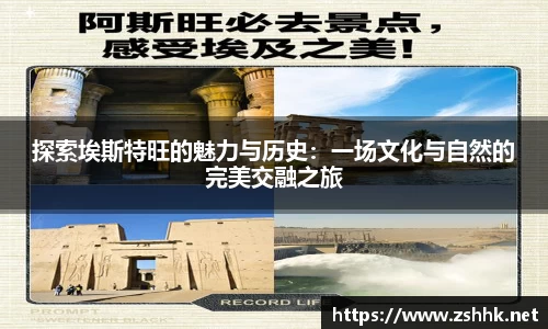 凤凰联盟最新官方网站