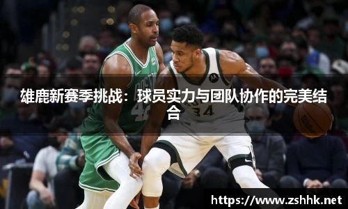 凤凰联盟官方网站
